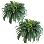 2 pack 48 inch artificial boston fern plants showing lush cascading fronds in hanging baskets side by side