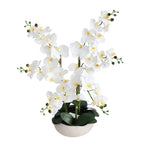 24 inch artificial white phalaenopsis orchid plant in white planter full view showing compact size with arching stem and blooms
