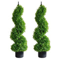 2 pack 35 inch elegant boxwood spiral topiary trees side by side showing compact spiral shape with dense green ball canopies
