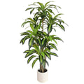 close up of faux dracaena stems showing multiple canes growing from single pot with natural brown texture