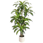 close up of faux dracaena stems showing multiple canes growing from single pot with natural brown texture
