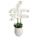 42 inch artificial white phalaenopsis orchid plant in white planter full view showing arching stem with multiple blooms