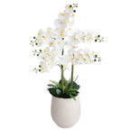 42 inch artificial white phalaenopsis orchid plant in white planter full view showing arching stem with multiple blooms