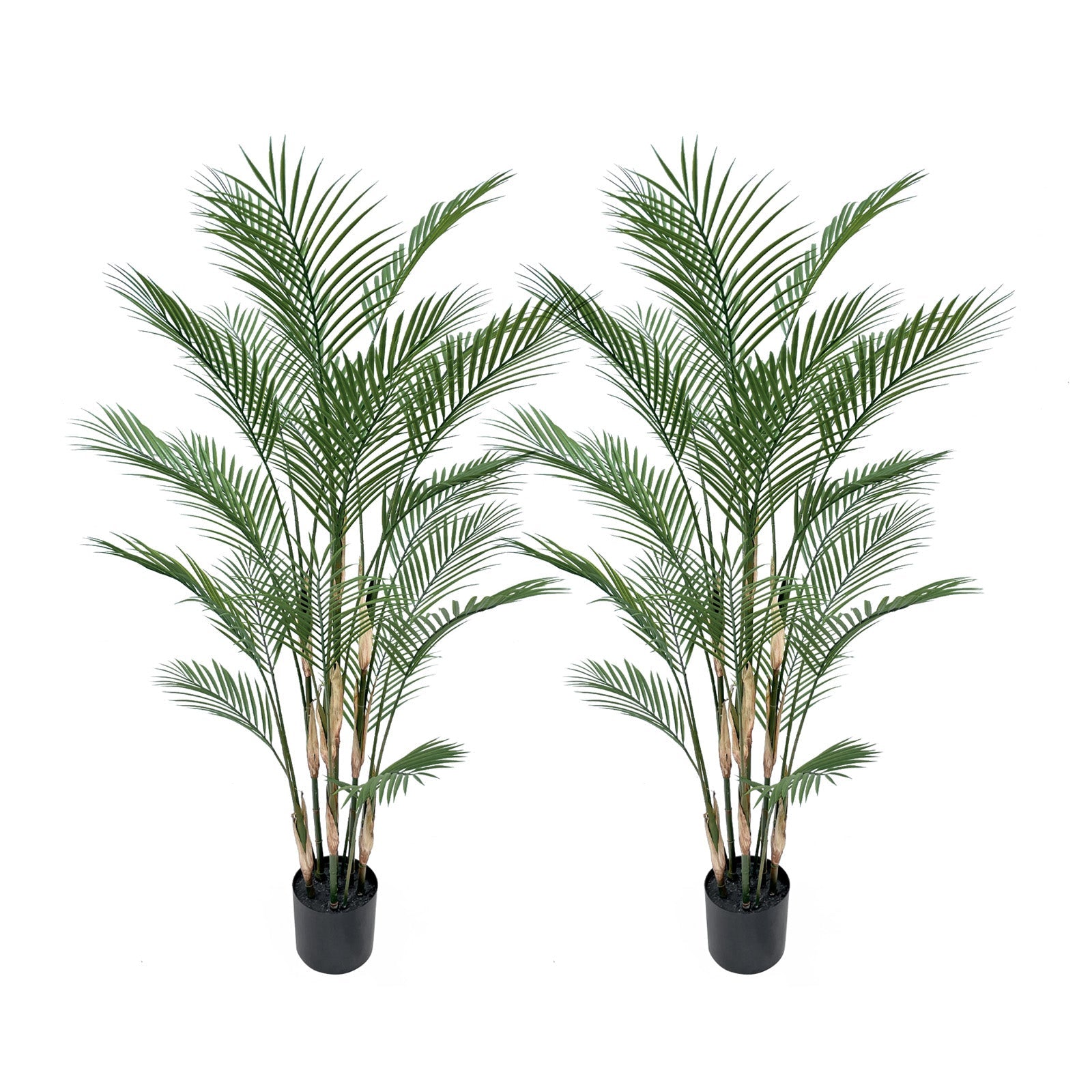 2 pack 59 inch artificial areca palm trees standing tall side by side showing height advantage over standard palms
