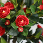 pair of 37 inch red camellia spike trees flanking front entrance door creating welcoming colorful display