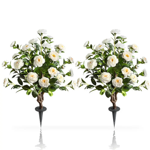 2 pack 36 inch artificial white camellia spike trees side by side showing pristine white blooms and narrow upright form