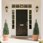 2 Pieces 37in(3.1ft) Artificial Topiary Cedar Trees momoplant