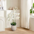 artificial orchid in white planter with gift ribbon and wrapping paper as housewarming or thank you gift