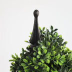 elegant boxwood spiral topiary