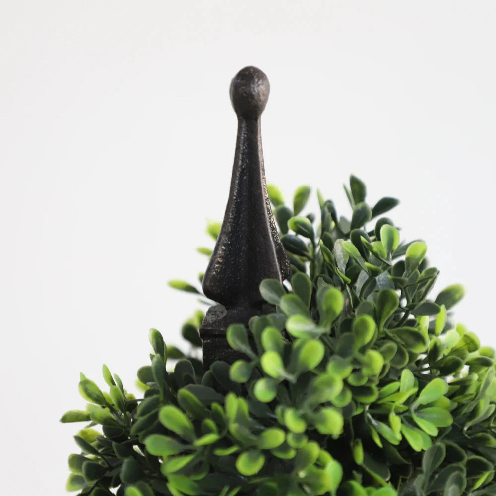 elegant boxwood spiral topiary
