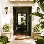 2 Pieces 23in(2ft) Artificial White Yellow Mums Flower Ball momoplant