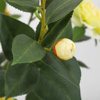 bright yellow topiary for entry
