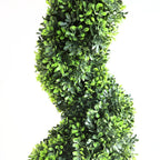 detailed view of artificial boxwood leaves on elegant spiral tree showing classic green color and small glossy texture
