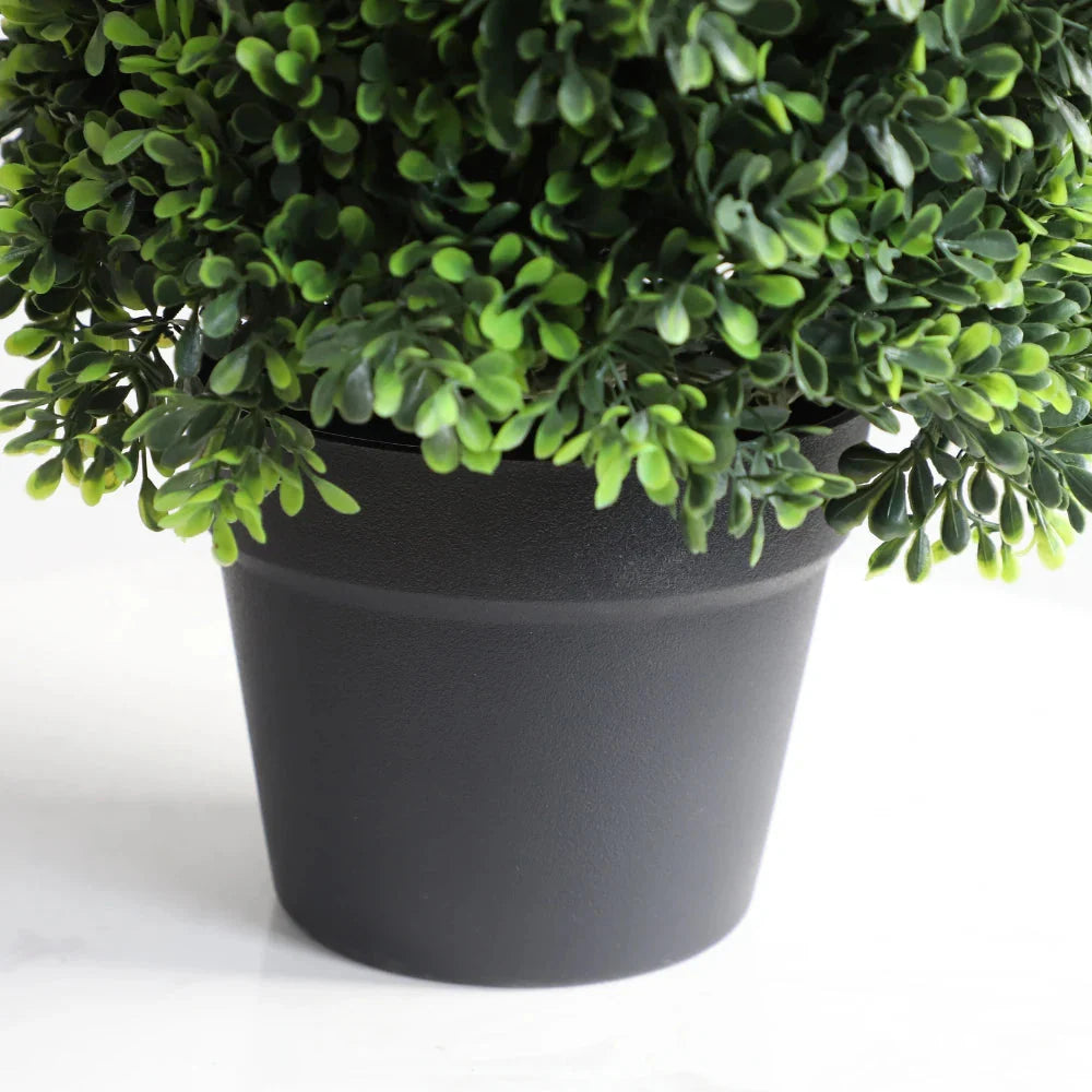 Why Dark Green Boxwood? The Richest, Most Classic Evergreen Color for Formal Entries