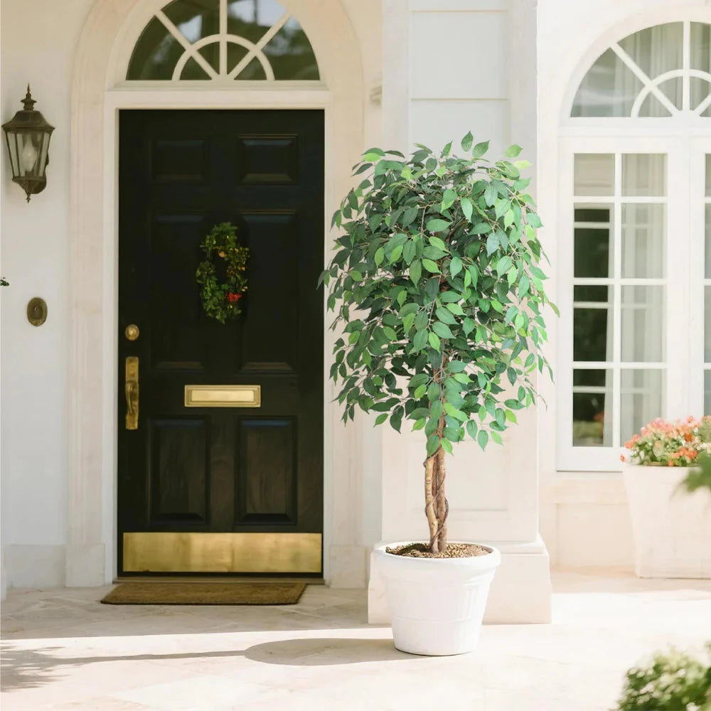 70 inch tall topiary tree with single spiral trunk and layered ball canopy standing in decorative urn planter