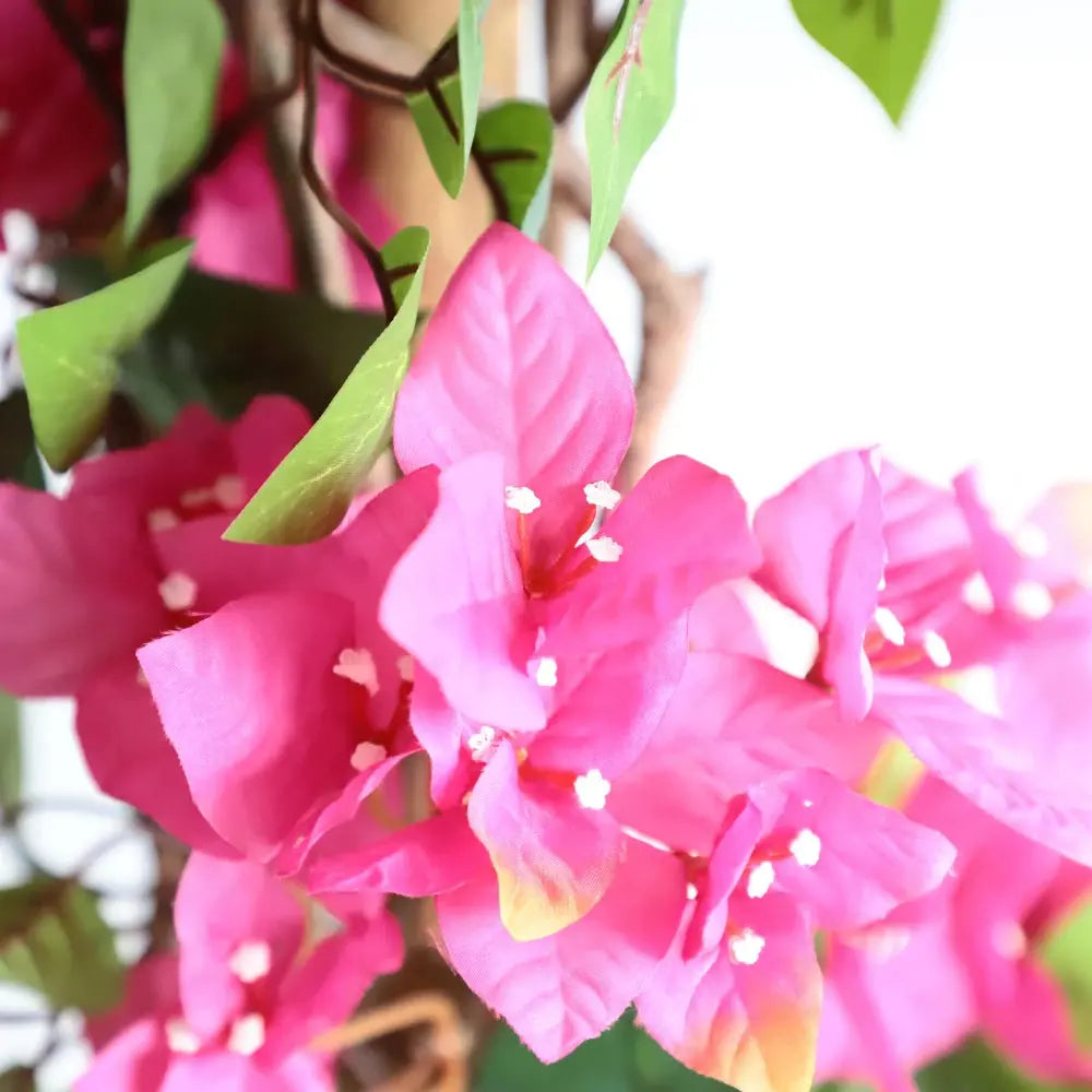 detailed view of artificial bougainvillea bracts on 5.2 foot tree with magenta color, subtle veining, and tiny white flowers