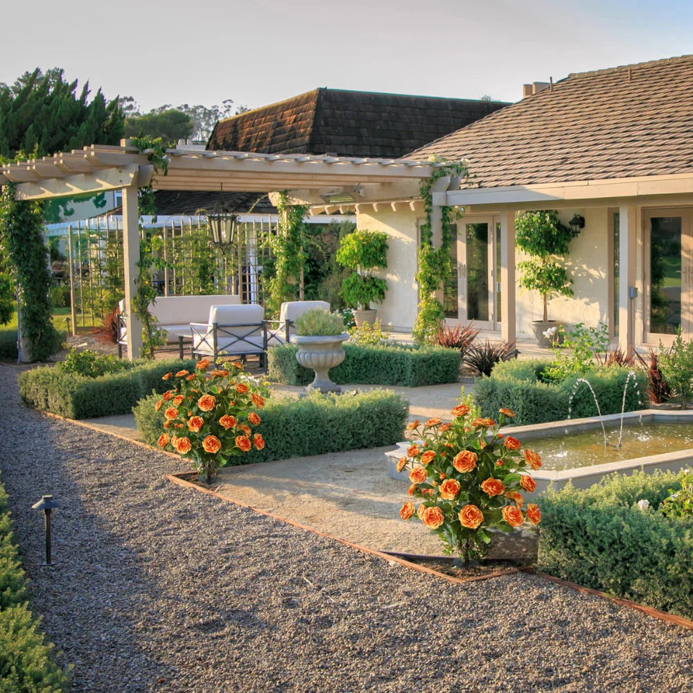 2 Pieces 36in(3ft) Artificial Flower Orange Camellia Spike Tree momoplant