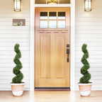 set of 2 artificial spiral topiary trees on covered porch steps for traditional southern or colonial style entry