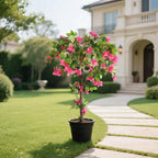 artificial bougainvillea tree on covered patio next to outdoor seating creating tropical resort atmosphere at home