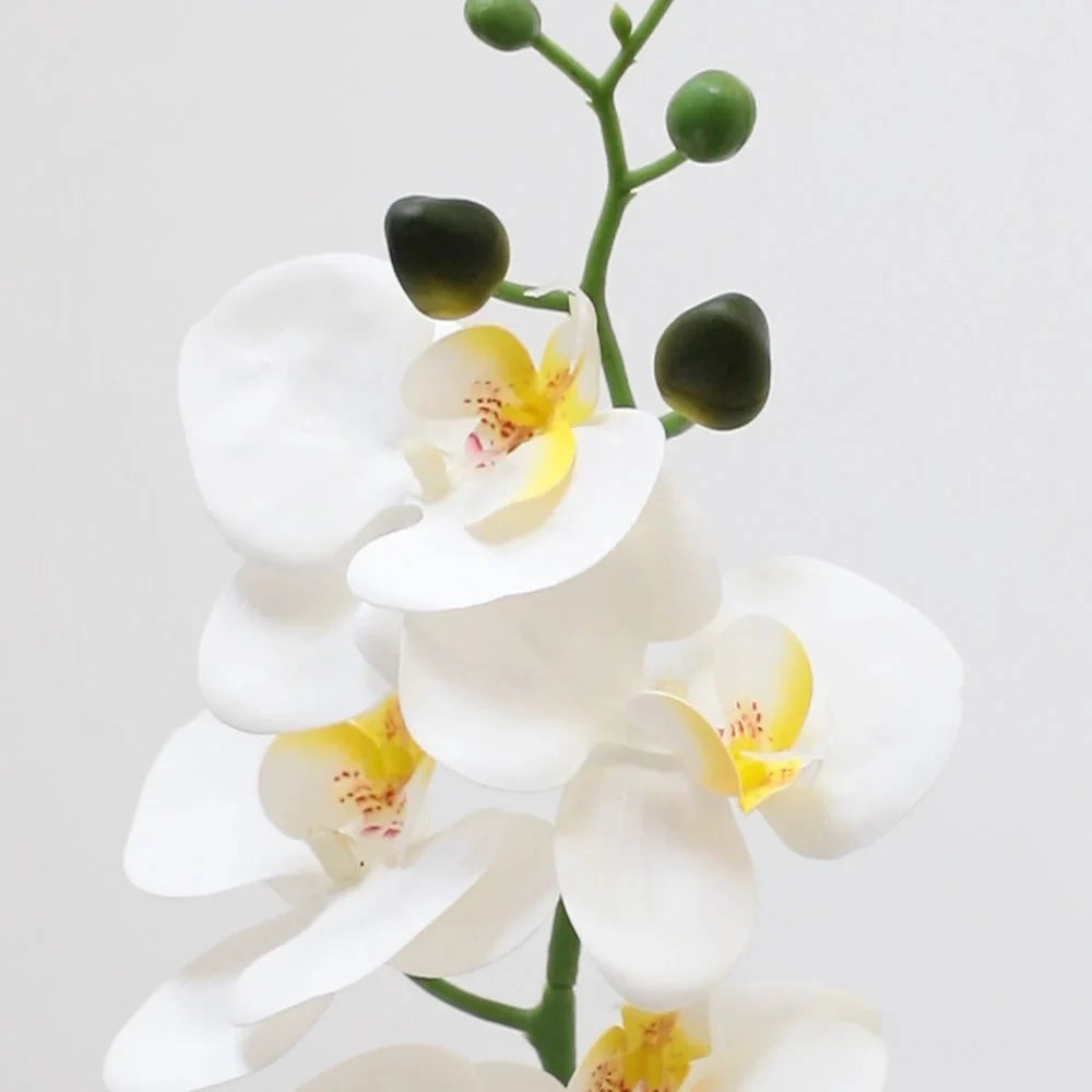 close up of artificial white phalaenopsis orchid flowers showing rounded petals, yellow center, and delicate lip structure