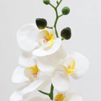 close up of artificial white phalaenopsis orchid flowers showing rounded petals, yellow center, and delicate lip structure