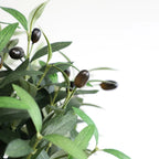 2 Pieces 47in(4ft) Artificial Topiary Olive Triple Ball Trees momoplant