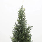2 Pieces 37in(3.1ft) Artificial Topiary Cedar Trees momoplant