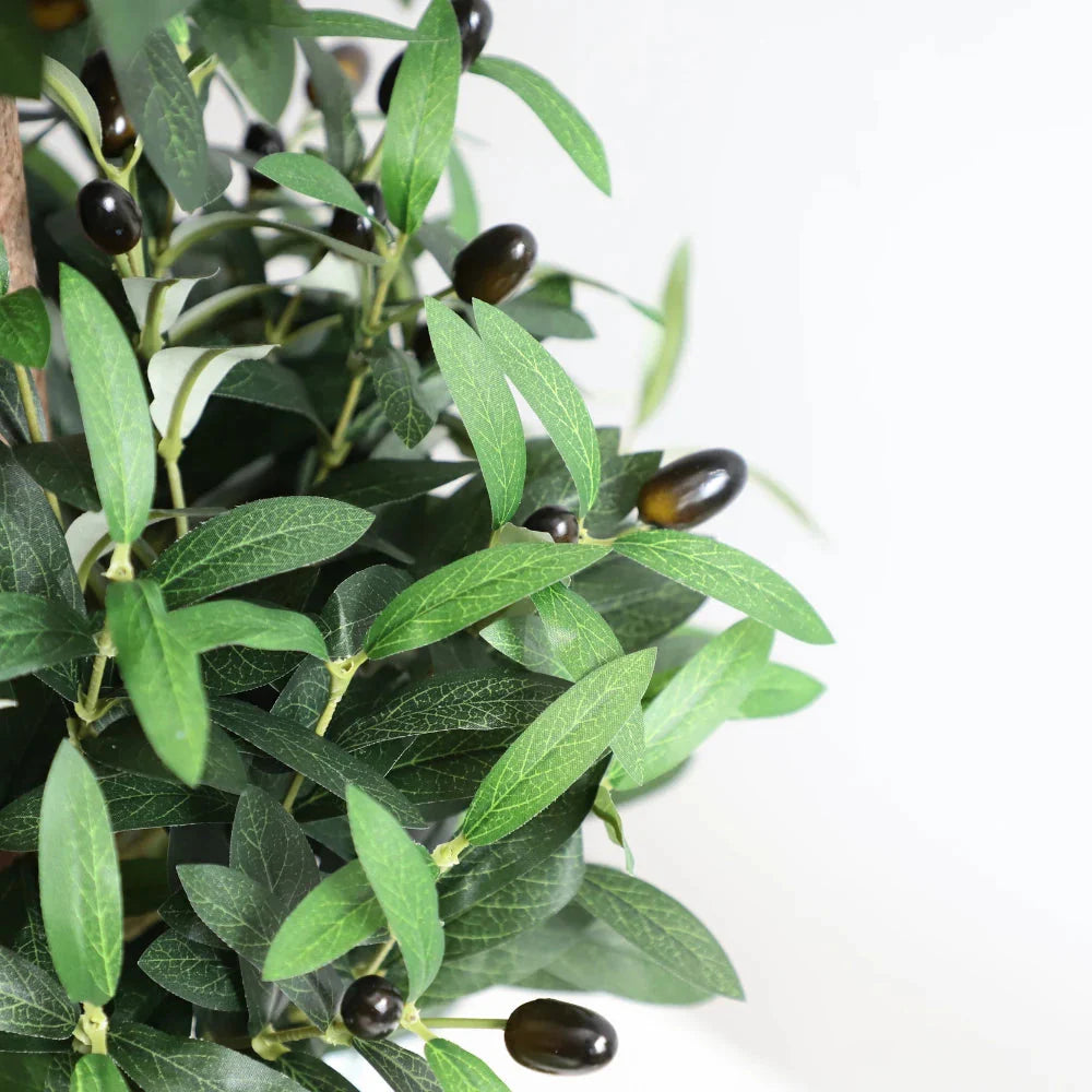 set of 2 artificial topiary olive trees on console table in entryway creating balanced greenery at lower height