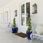 set of 2 compact spiral topiary trees flanking front entrance door for elegant welcome in smaller scale