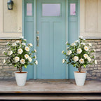 single 36 inch faux white camellia spike tree with layered white flowers and glossy green leaves on narrow trunk