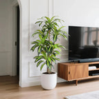 59 inch artificial dracaena plant full view showing multi-stem trunk and upright sword shaped green leaves with yellow edges