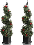 2 pack 3 foot boxwood spiral topiary trees with red berries side by side showing classic spiral form with festive red fruit accents