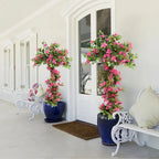 Vibrant Magenta Bracts for Patio, Grand Entry & Commercial Spaces