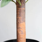 2 Pieces 47in(4ft) Artificial Topiary Olive Triple Ball Trees momoplant