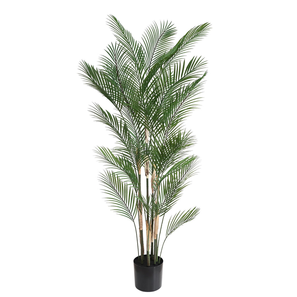 71 inch artificial areca palm full view standing 5.9 feet tall showing lush arching fronds and substantial presence