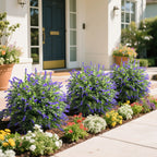 all-season outdoor decor