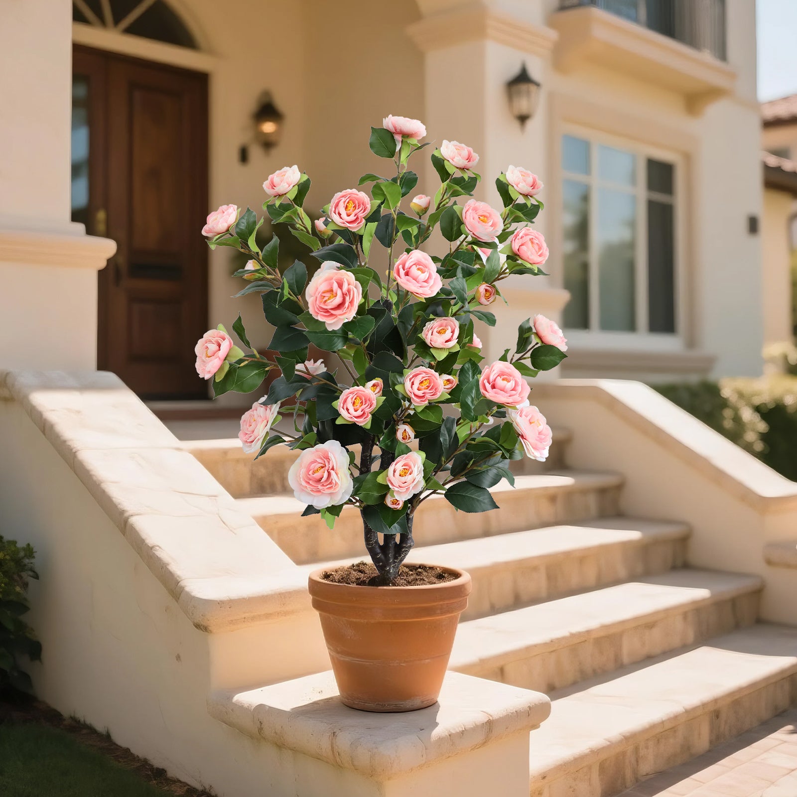 two pink camellia spikes flanking front door