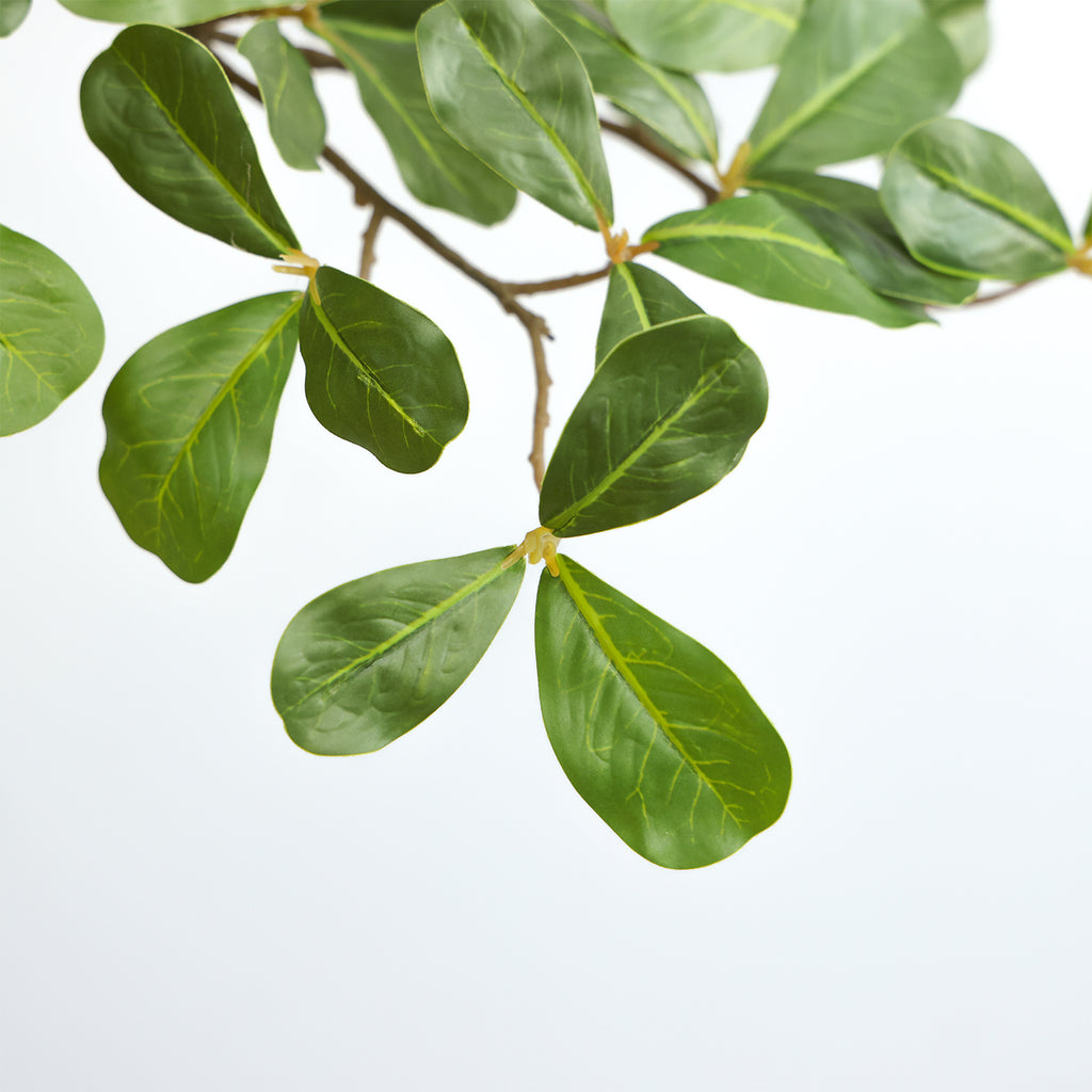 realistic faux olive tree leaves and bark close up