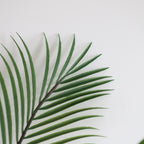 71 inch faux areca palm in open plan office lounge area adding greenery to professional workspace