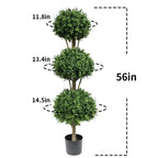 close up of triple ball boxwood topiary showing three rounded green spheres stacked vertically from large base to small top