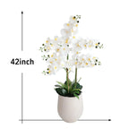 for modern home, office & luxury decor