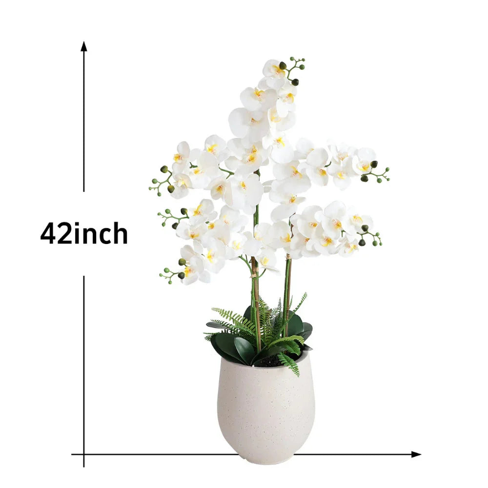 for modern home, office & luxury decor