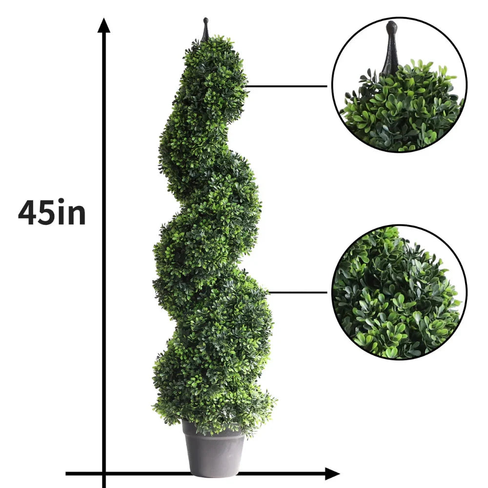 Spiral Topiary: The Most Sought-After Shape for Timeless Curb Appeal