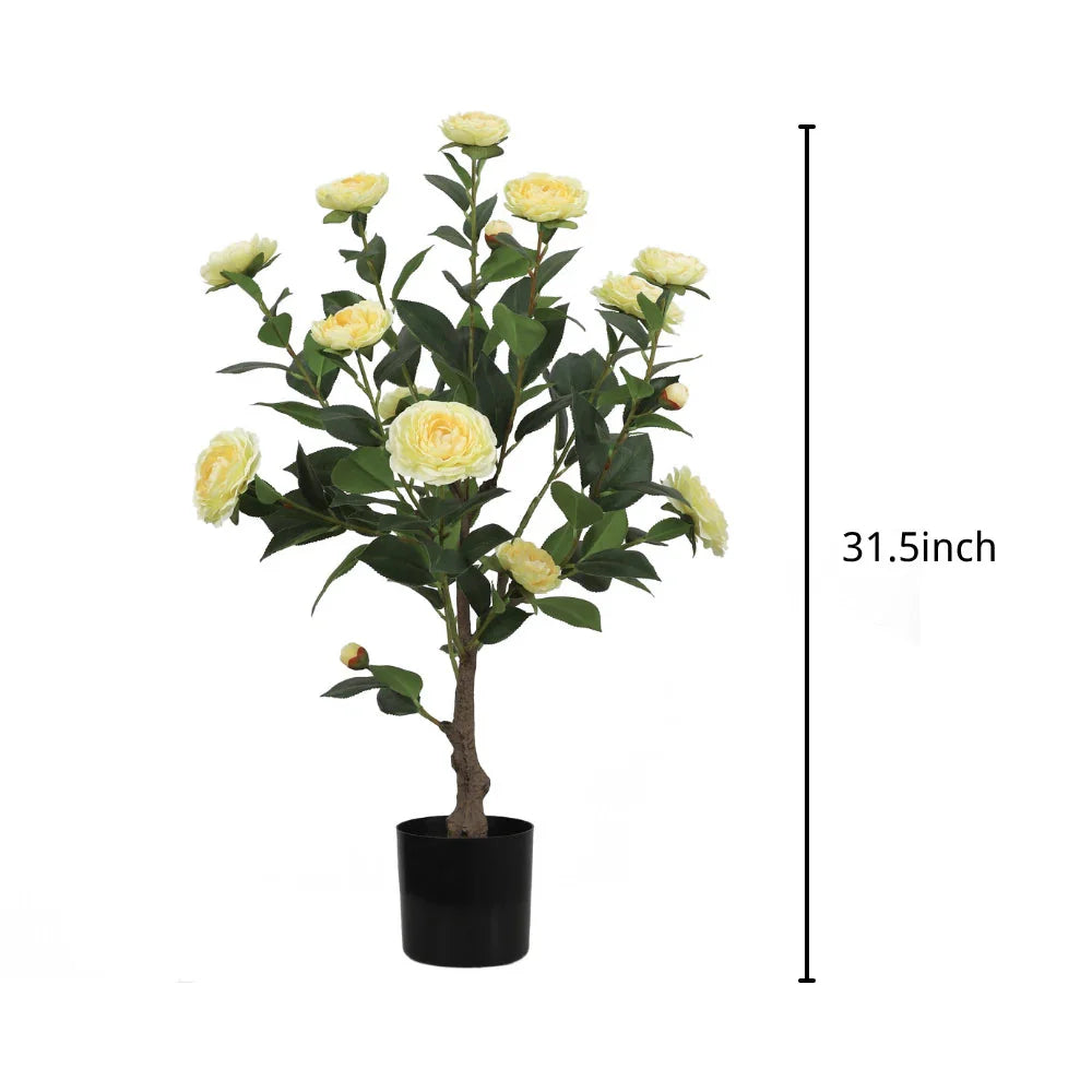 cheerful yellow camellia