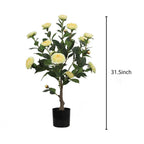 cheerful yellow camellia