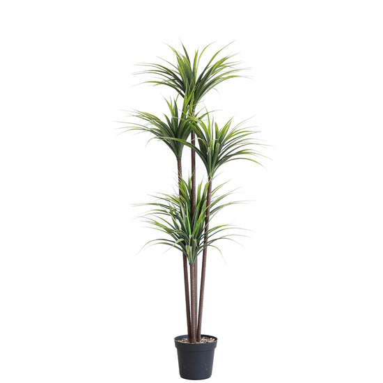 ( set of 2 ) Artificial Yucca Dracaena 5 trunk 63“/5.2ft